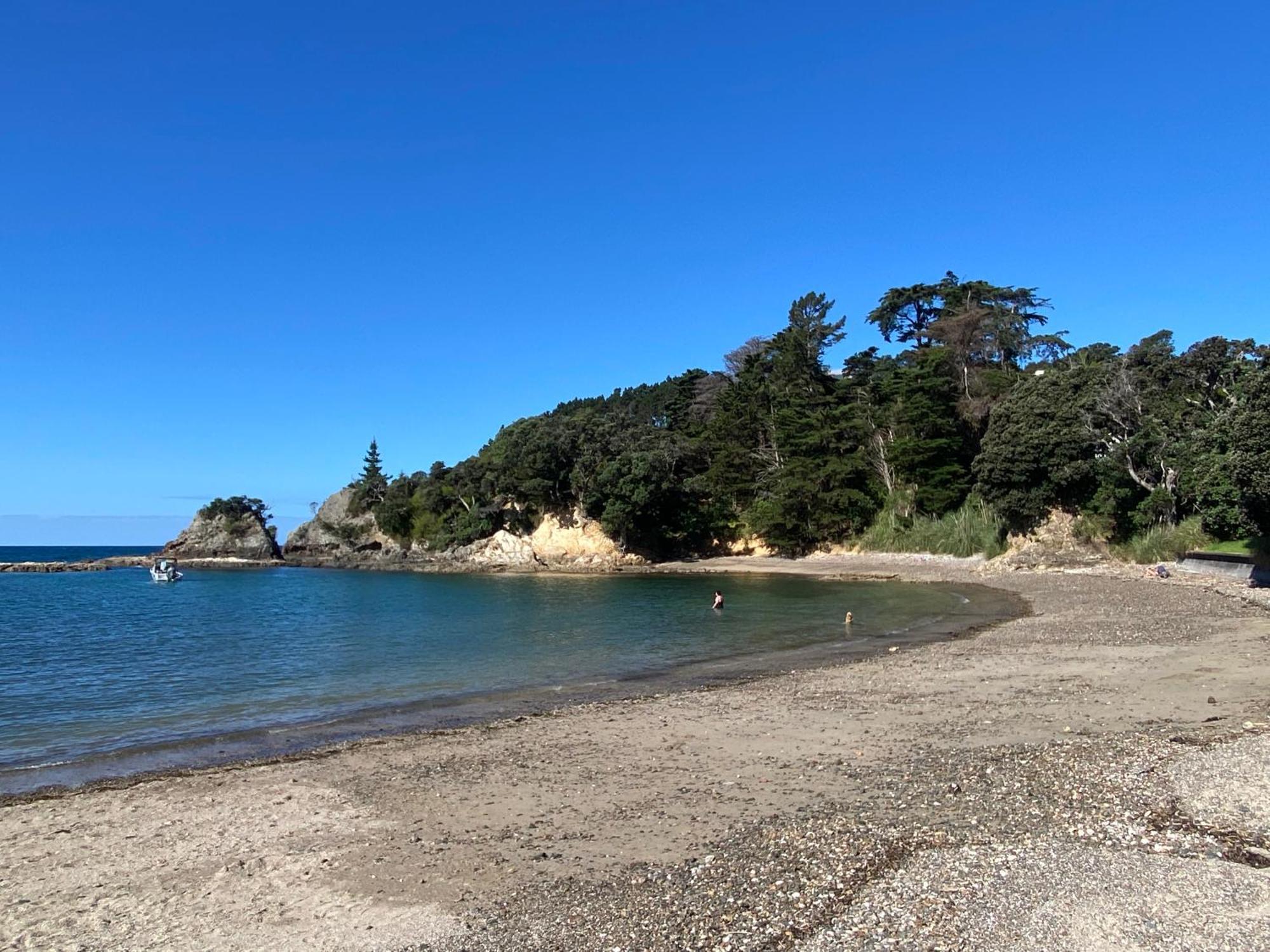Kereru Cabin - Spectacular Seaviews, Rustic, Glamping Eco Adventure Palm Beach Eksteriør billede