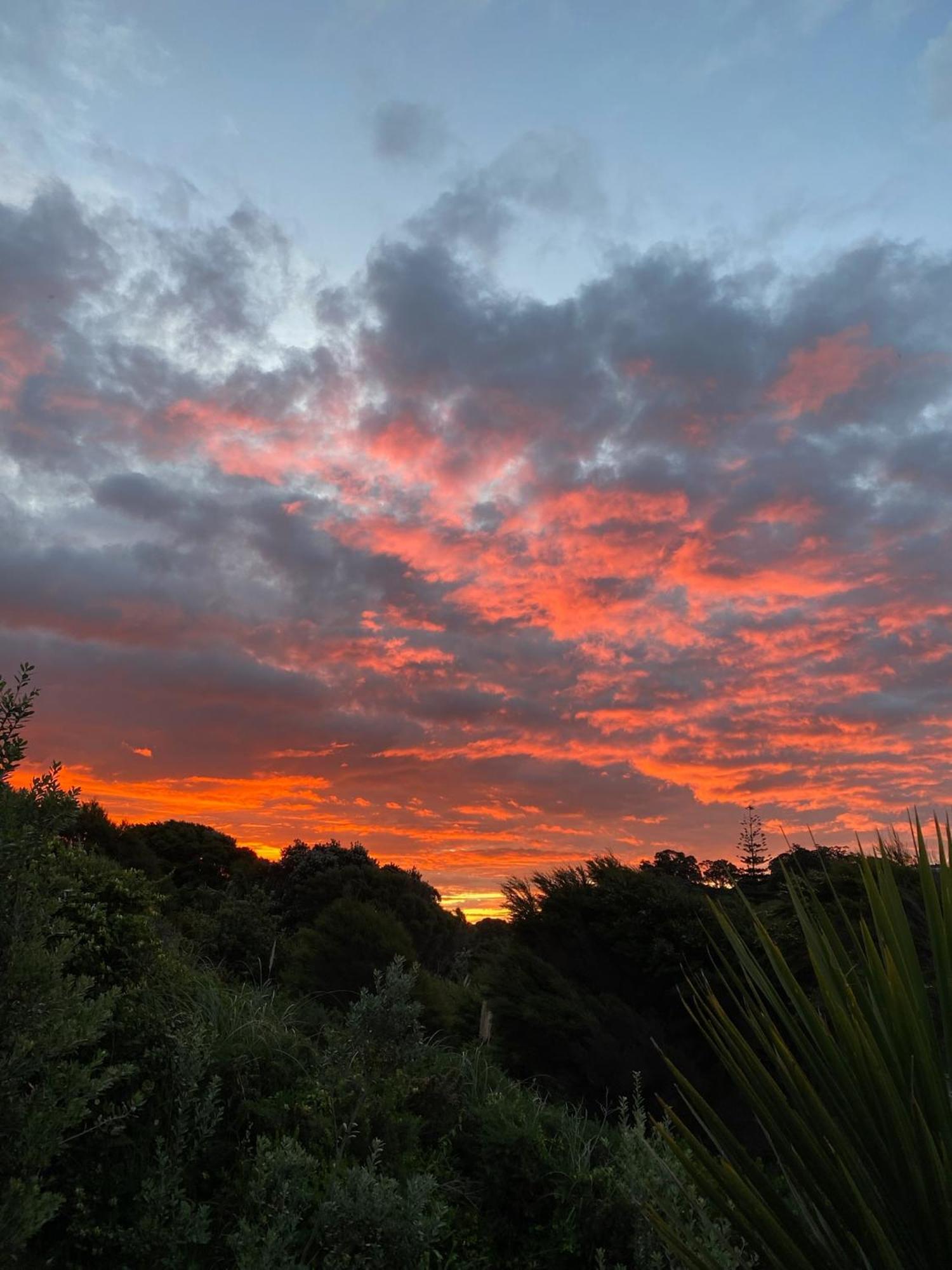 Kereru Cabin - Spectacular Seaviews, Rustic, Glamping Eco Adventure Palm Beach Eksteriør billede