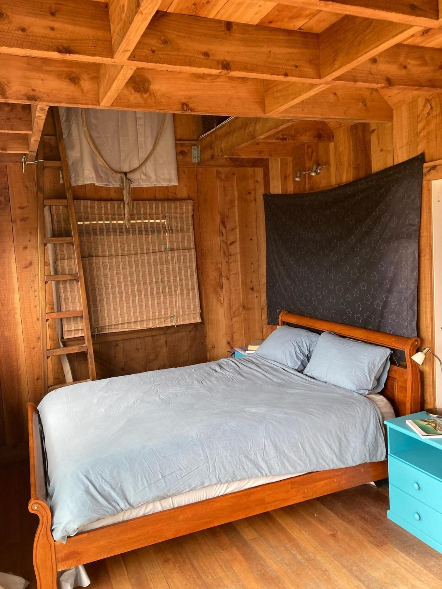 Kereru Cabin - Spectacular Seaviews, Rustic, Glamping Eco Adventure Palm Beach Eksteriør billede